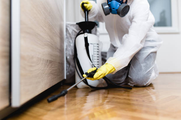 Best Pest Inspection Near Me  in Watonga, OK