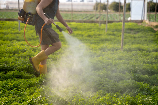 Best Residential Pest Control  in Watonga, OK