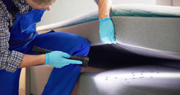 Best Ant Control Services  in Watonga, OK