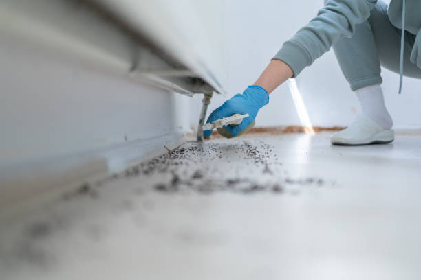 Best Cockroach Control Services  in Watonga, OK
