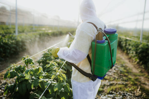 Best Local Pest Control Services  in Watonga, OK
